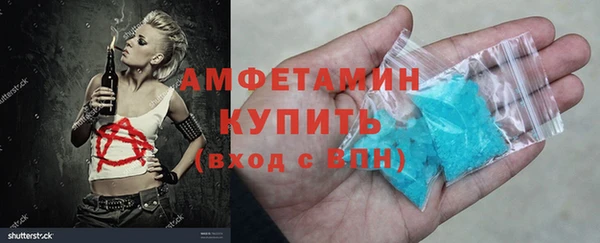 шишки Белокуриха