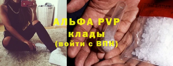 шишки Белокуриха