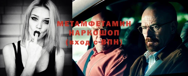 шишки Белокуриха