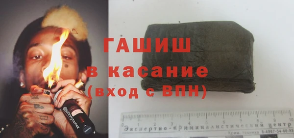 шишки Белокуриха