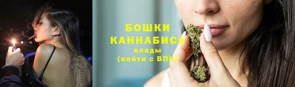 шишки Белокуриха