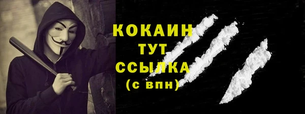 шишки Белокуриха