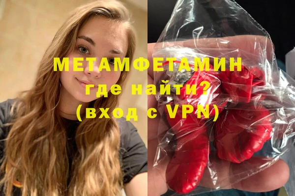 шишки Белокуриха