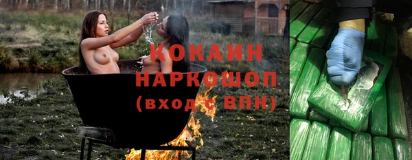шишки Белокуриха
