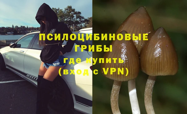 шишки Белокуриха