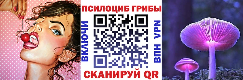 где купить наркотик  Пойковский  MEGA ONION  Псилоцибиновые грибы MAGIC MUSHROOMS 